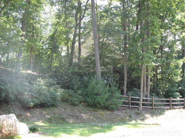 Image number 2 for the current listing