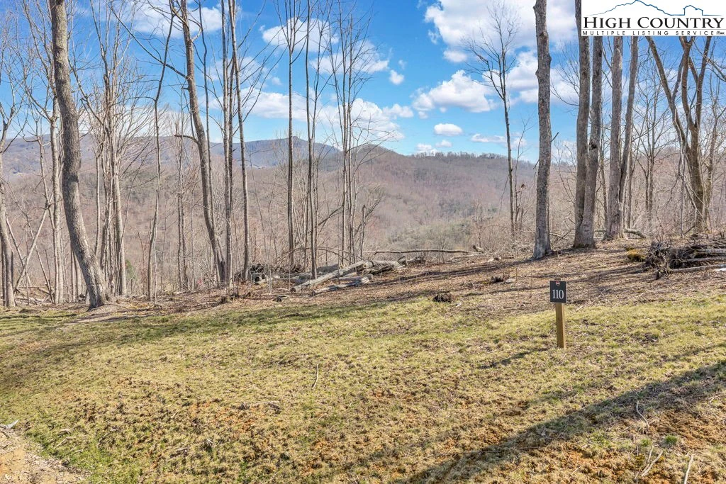 Image number 1 for the current listing