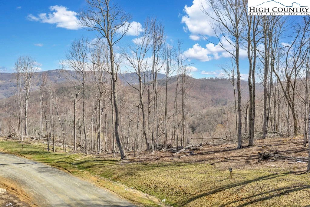 Image number 18 for the current listing