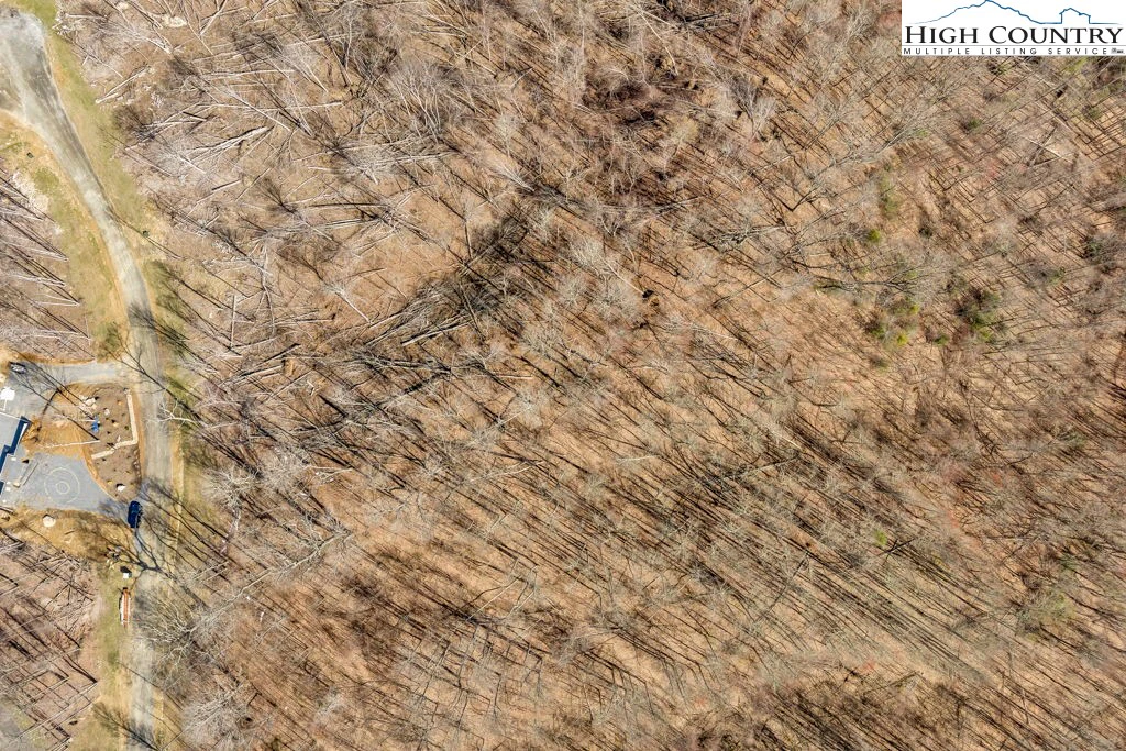Image number 4 for the current listing