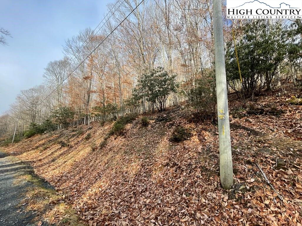 Image number 1 for the current listing