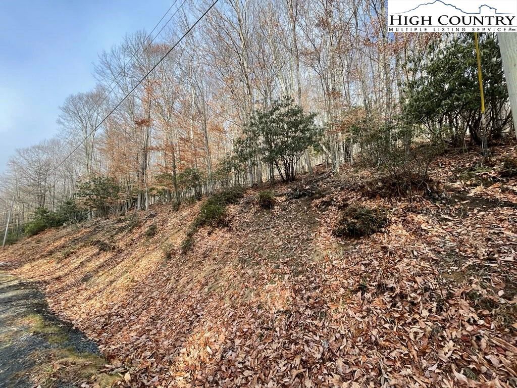 Image number 3 for the current listing