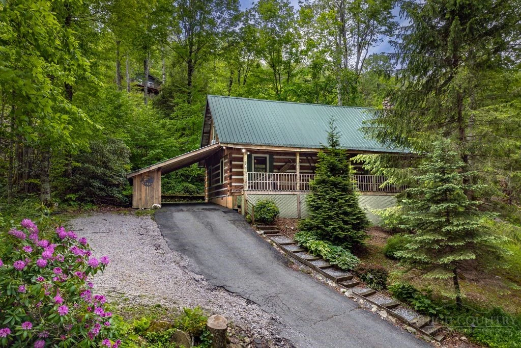 Image number 1 for the current listing
