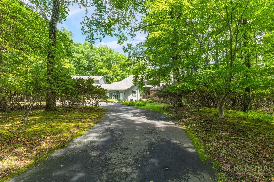 Image number 3 for the current listing