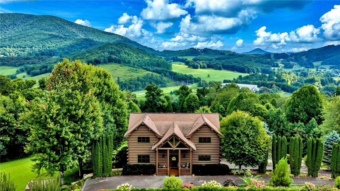 Image number 1 for the current listing
