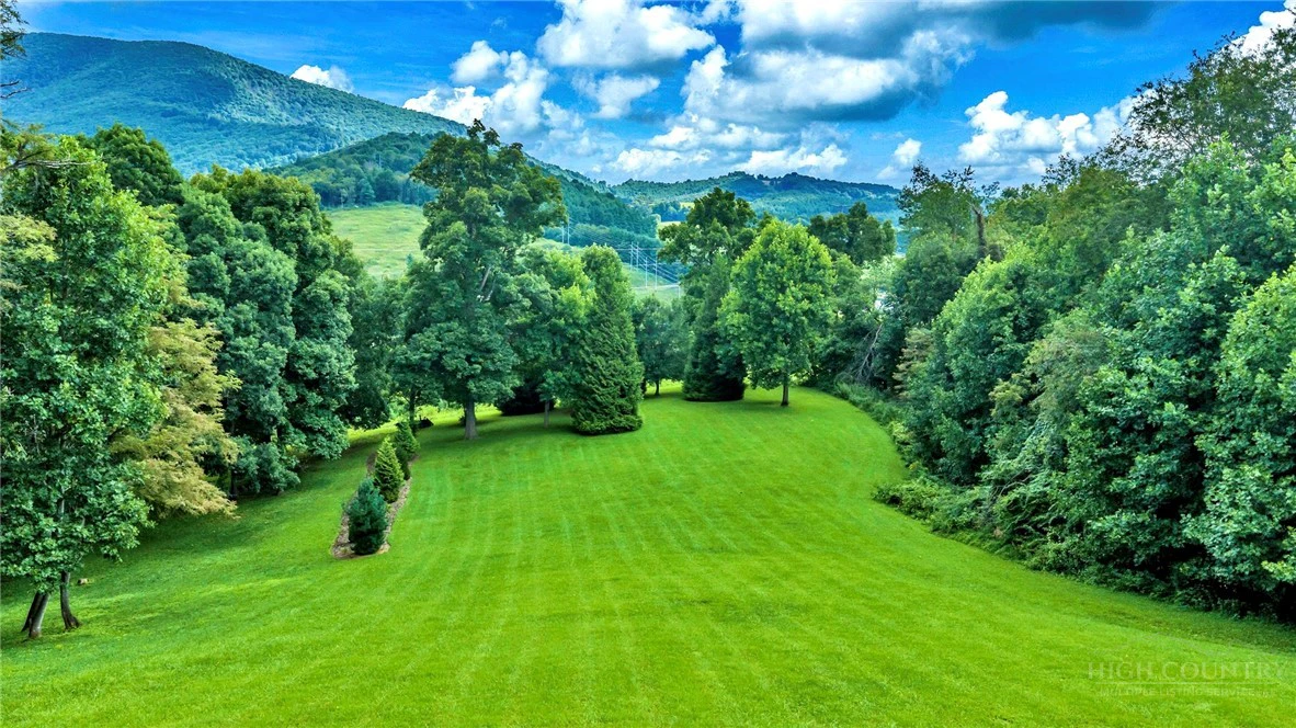 Image number 3 for the current listing
