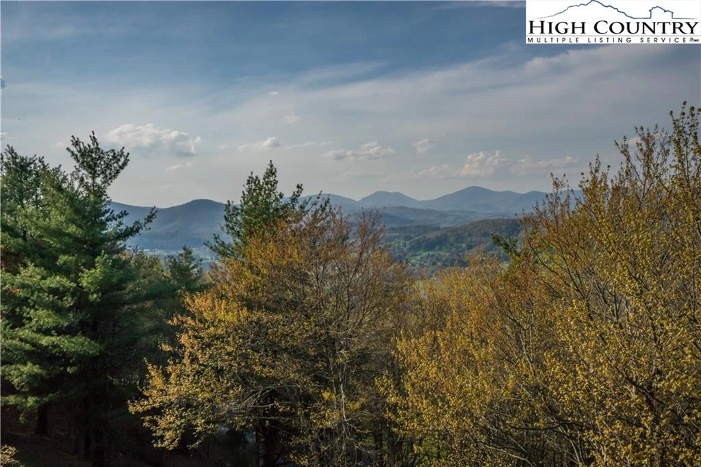 Image number 3 for the current listing