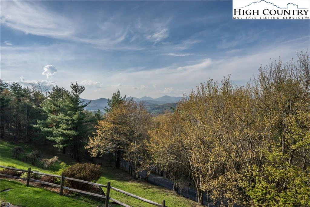 Image number 4 for the current listing