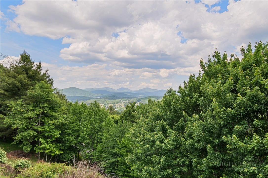 Image number 11 for the current listing