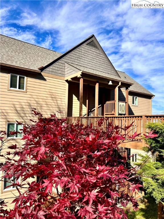 Image number 1 for the current listing