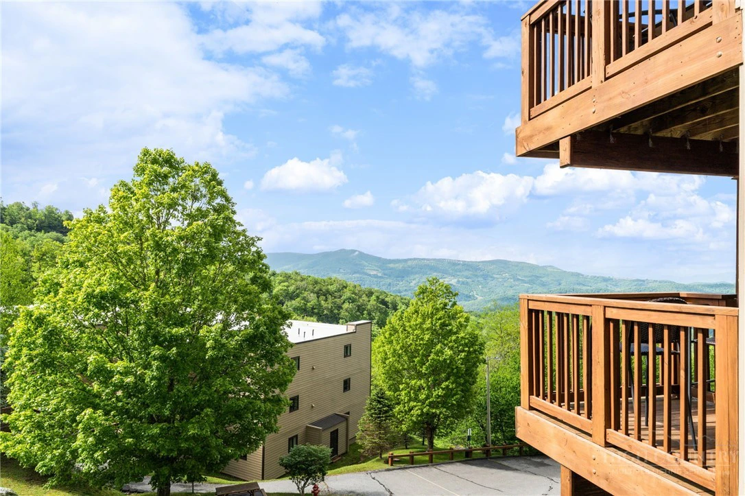 Image number 7 for the current listing