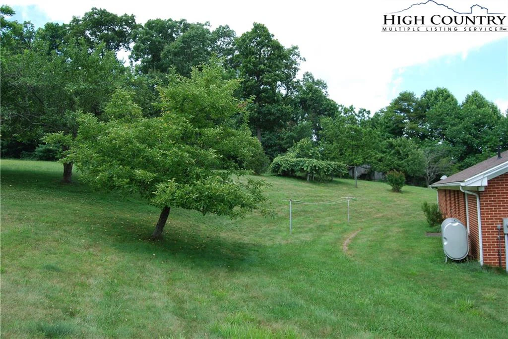 Image number 11 for the current listing