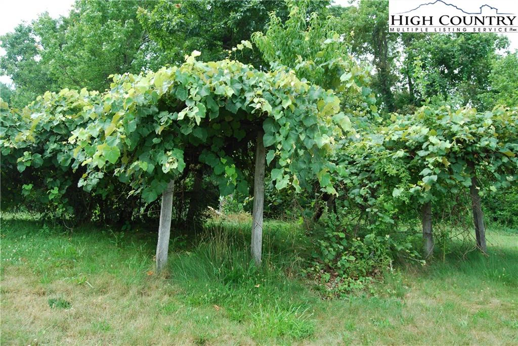 Image number 14 for the current listing
