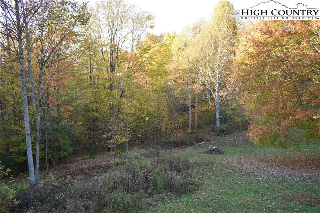 Image number 4 for the current listing
