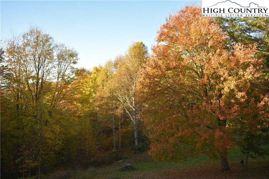 Image number 3 for the current listing