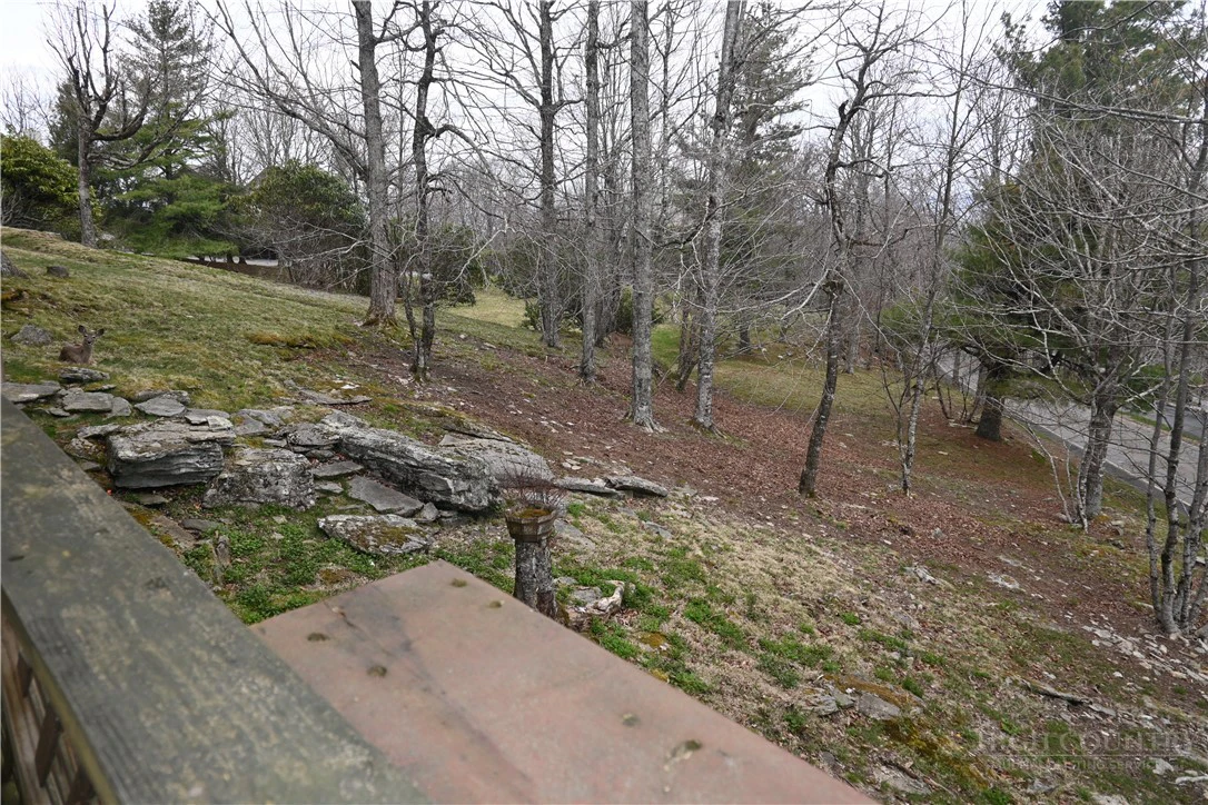 Image number 5 for the current listing