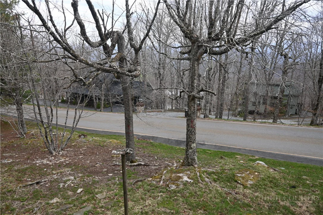 Image number 4 for the current listing