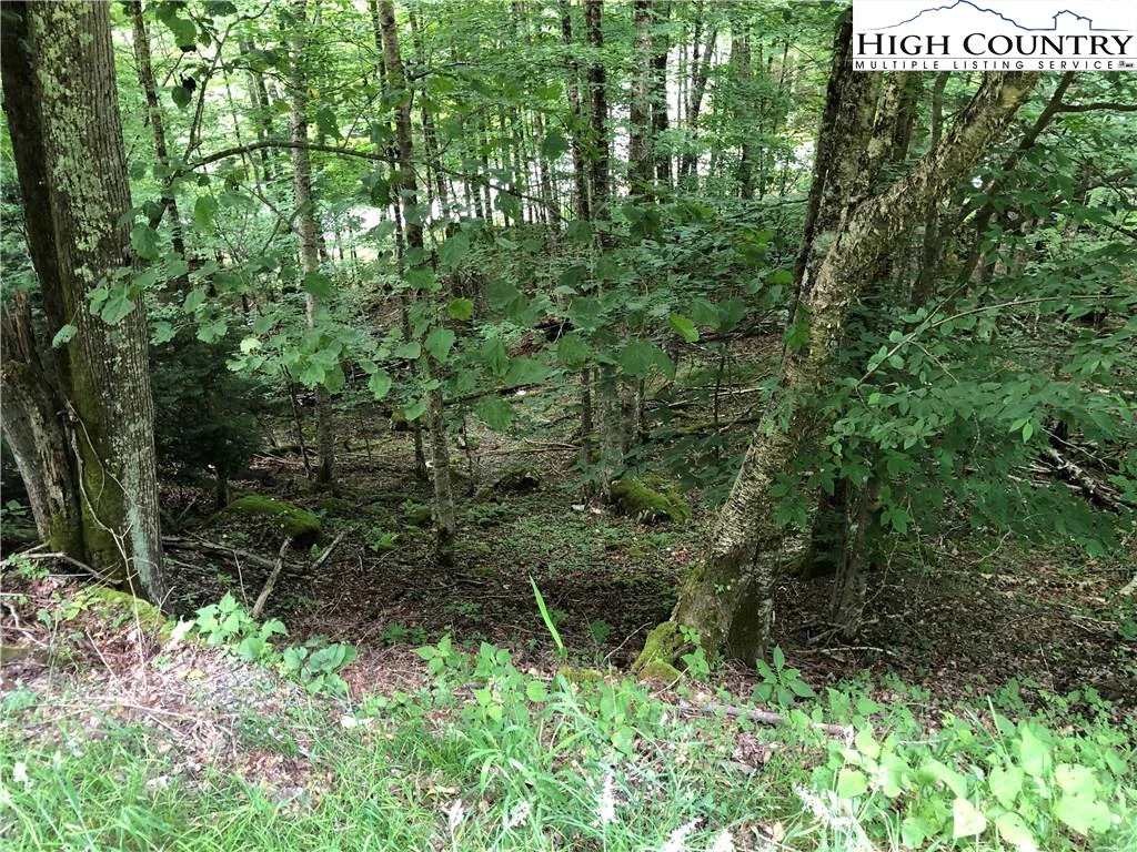 Image number 1 for the current listing