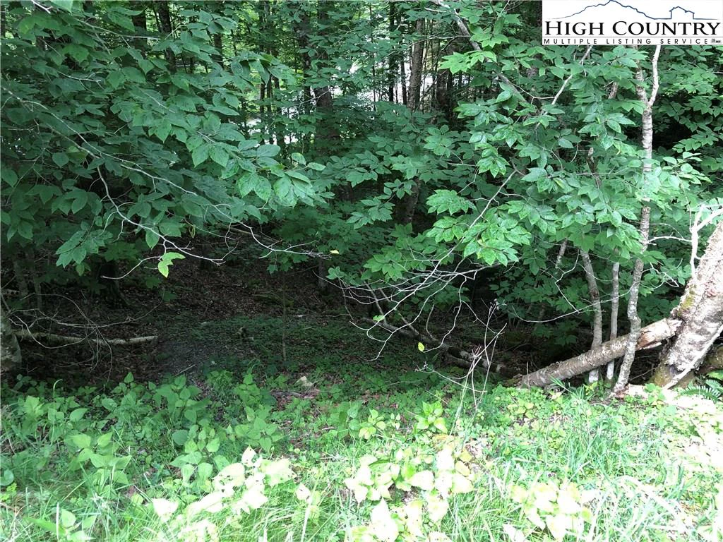 Image number 3 for the current listing