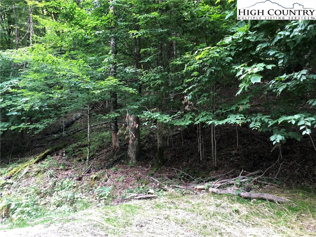Image number 4 for the current listing