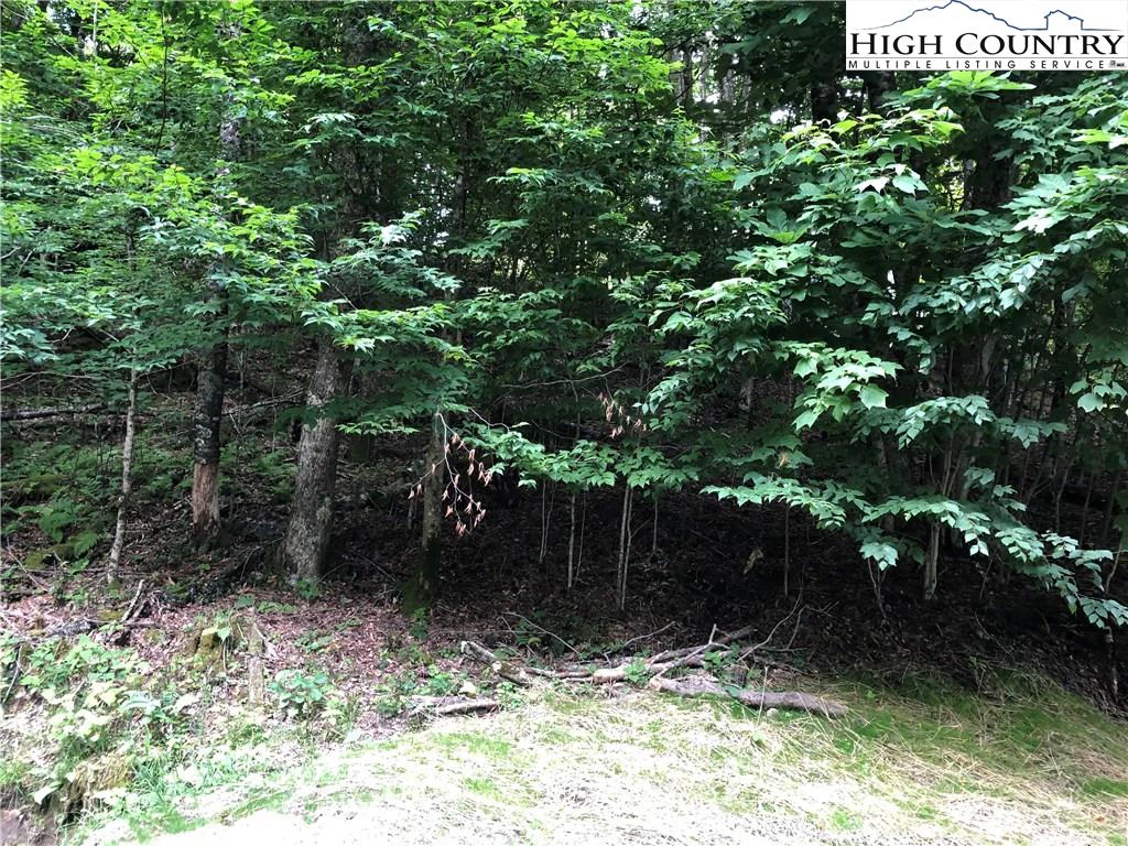 Image number 5 for the current listing