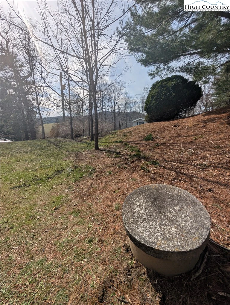 Image number 14 for the current listing
