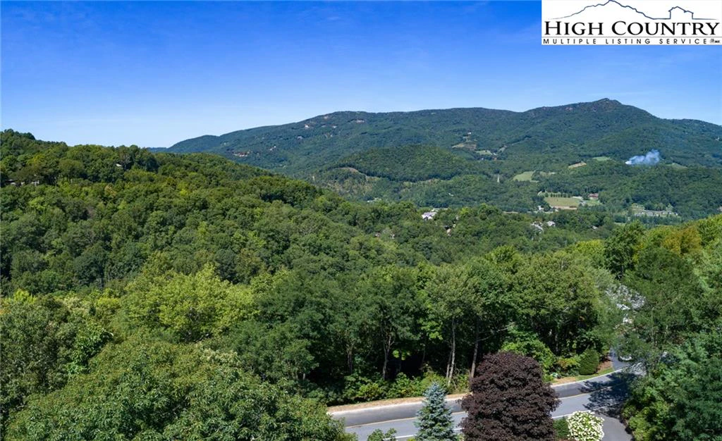 Image number 1 for the current listing
