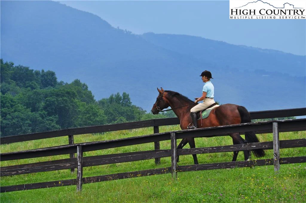 Image number 13 for the current listing