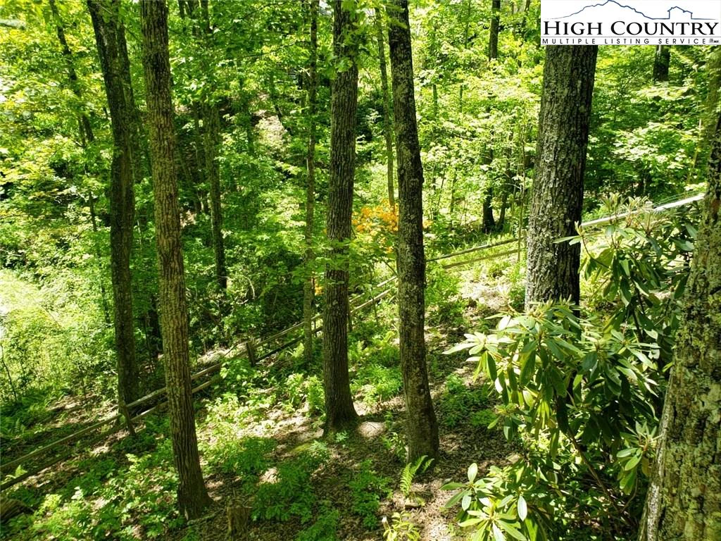Image number 6 for the current listing