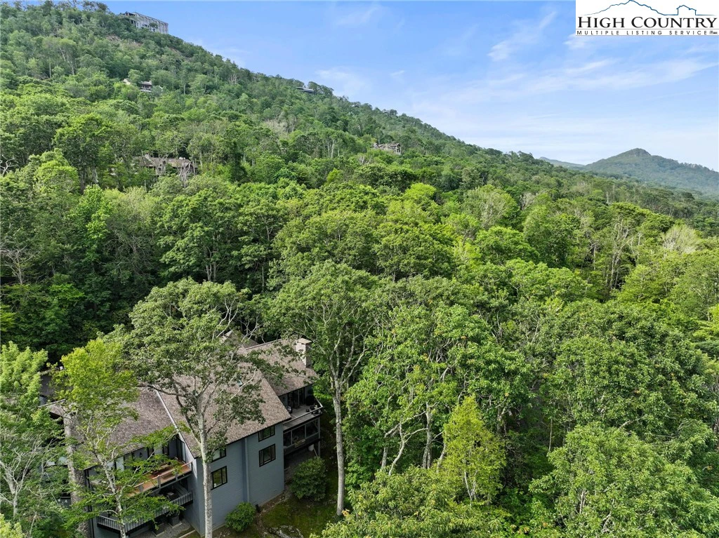 Image number 17 for the current listing