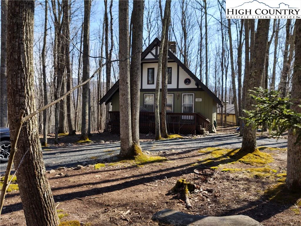 Image number 1 for the current listing