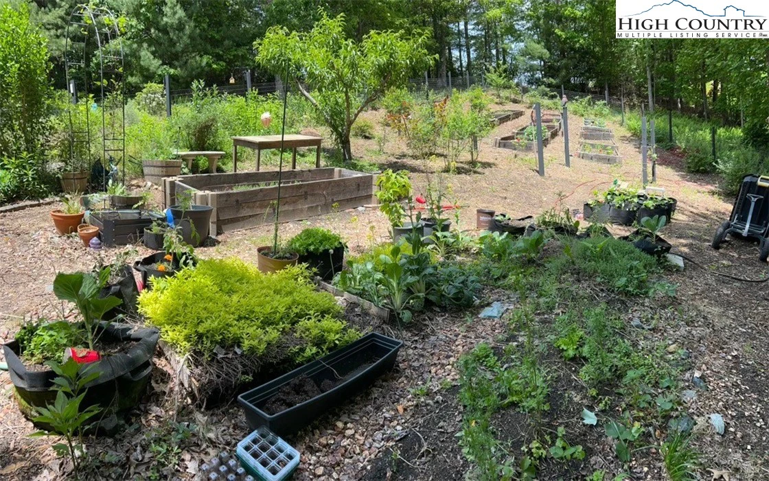 Image number 2 for the current listing
