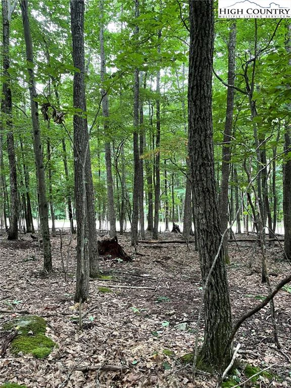 Image number 1 for the current listing