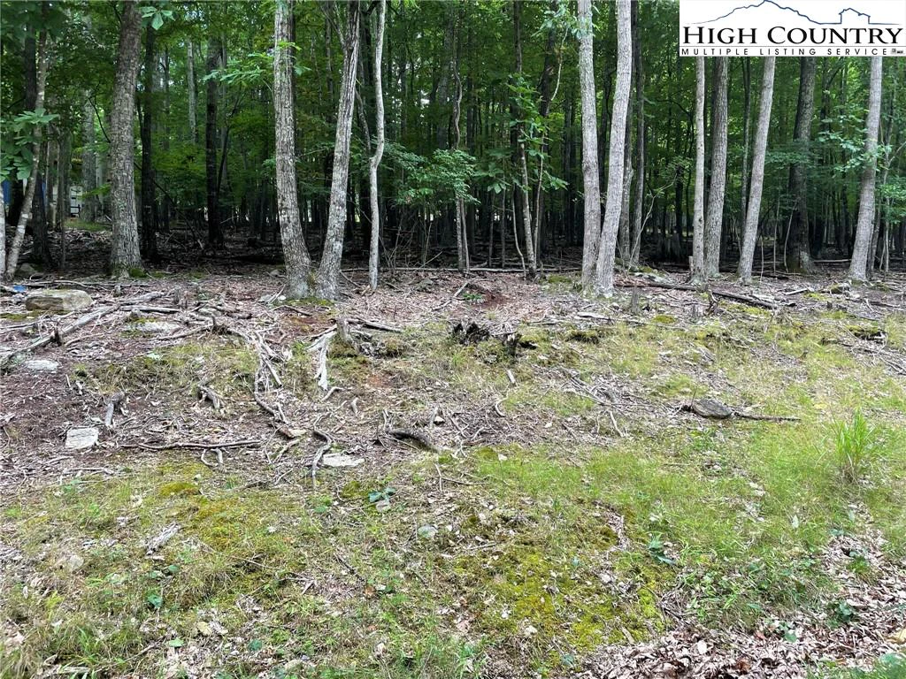 Image number 6 for the current listing