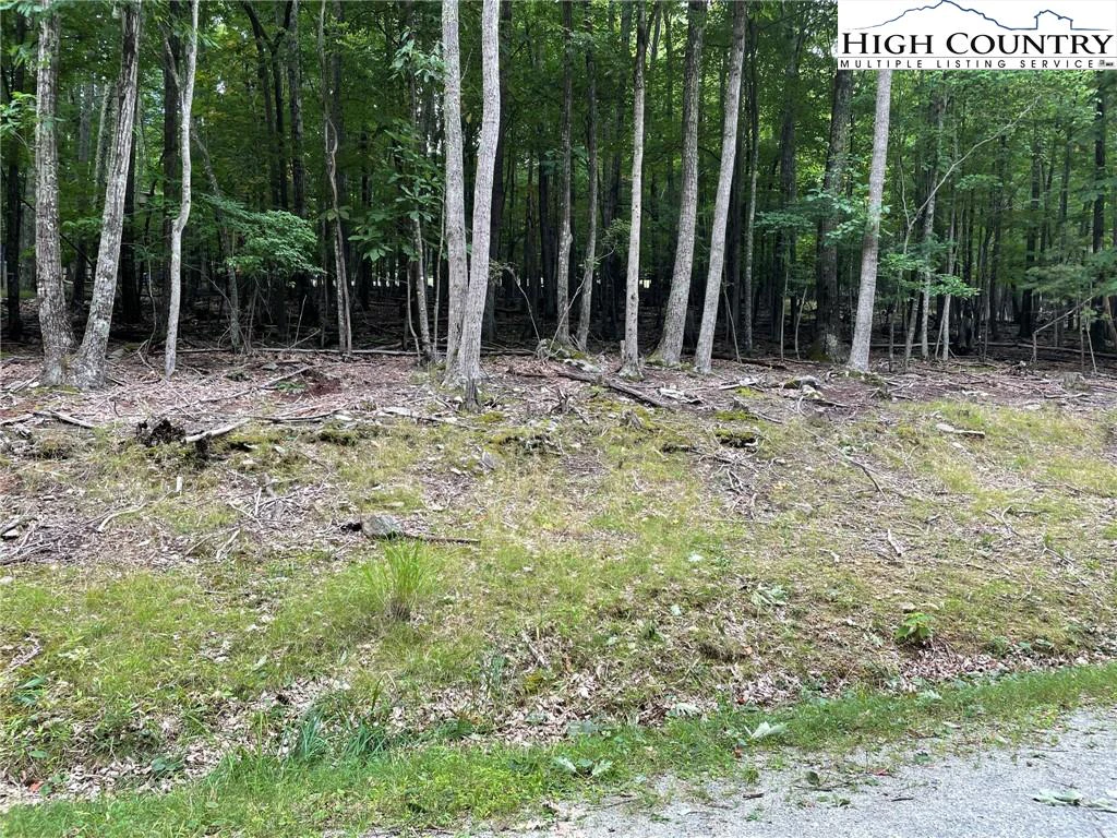 Image number 7 for the current listing