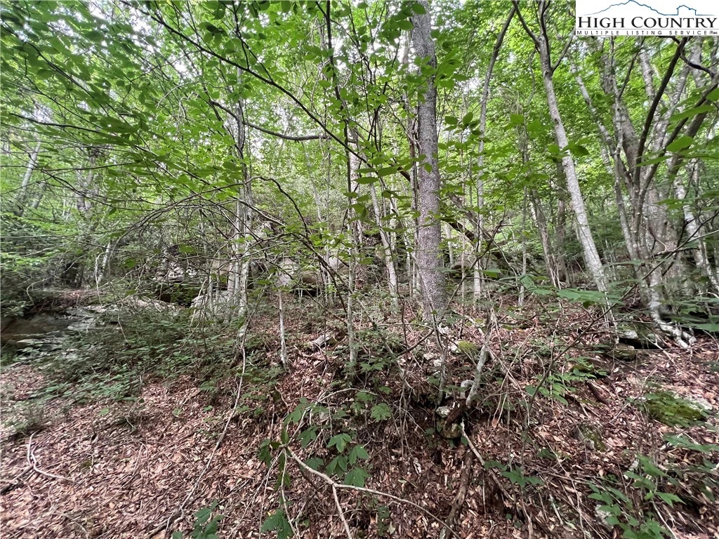 Image number 7 for the current listing