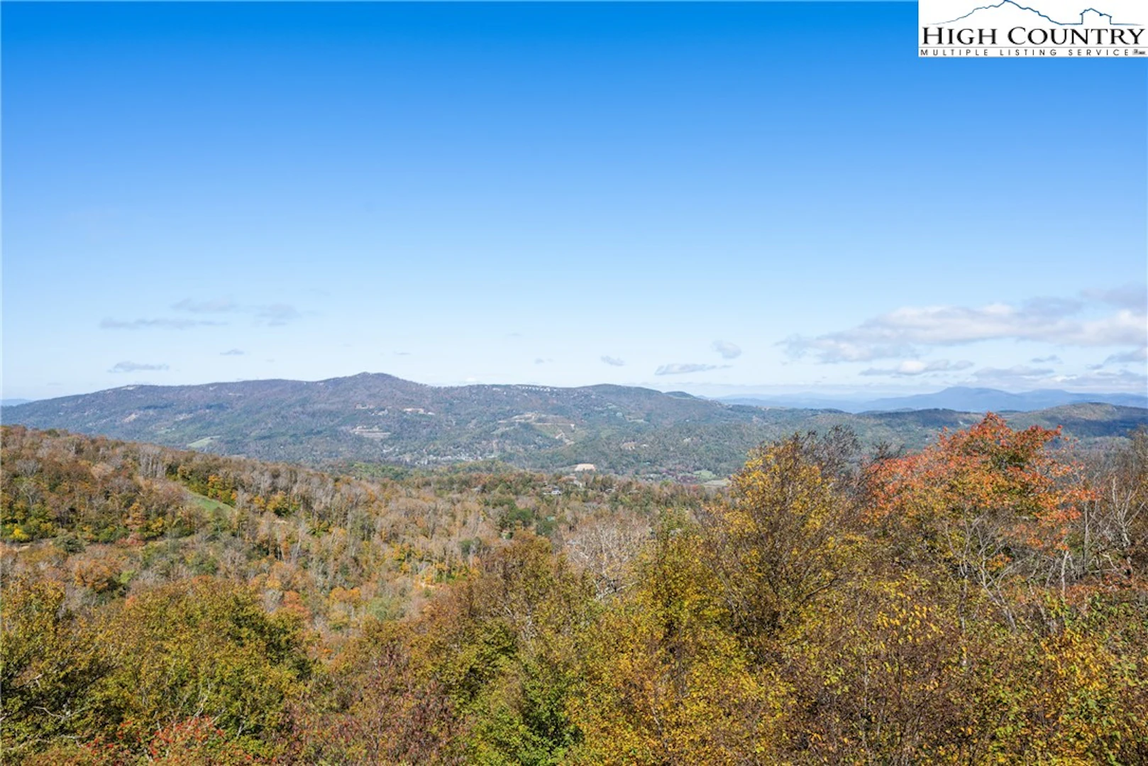 Image number 13 for the current listing