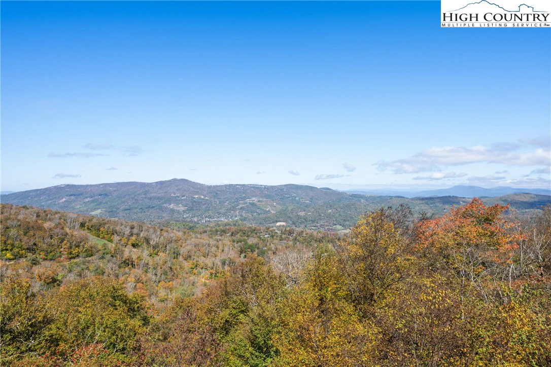 Image number 13 for the current listing