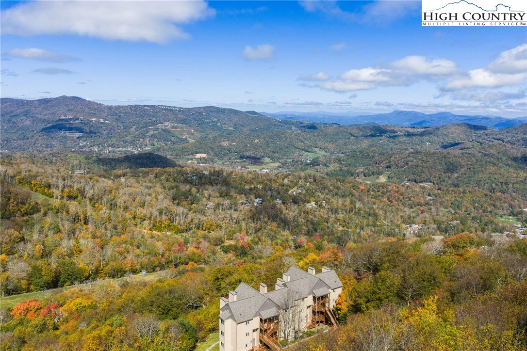 Image number 12 for the current listing