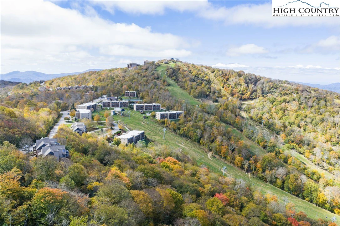 Image number 11 for the current listing