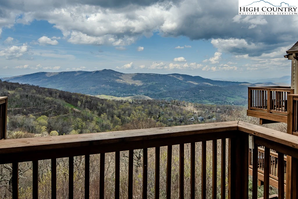 Image number 2 for the current listing