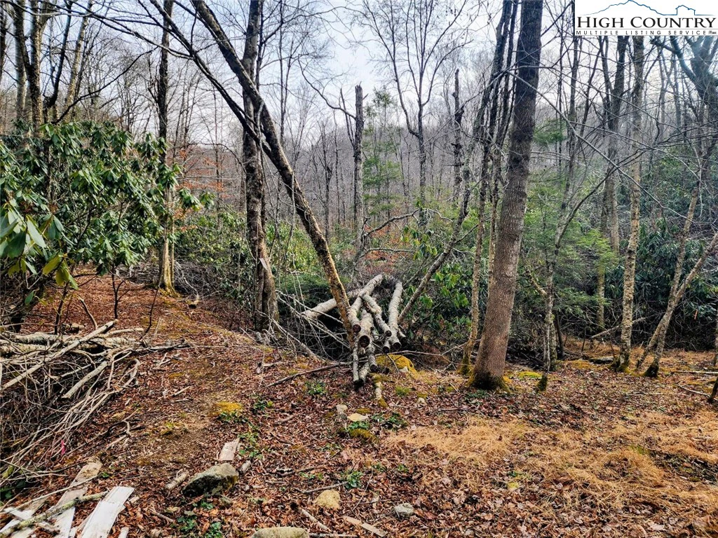 Image number 3 for the current listing