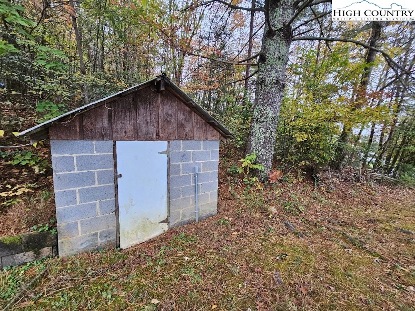 Image number 19 for the current listing