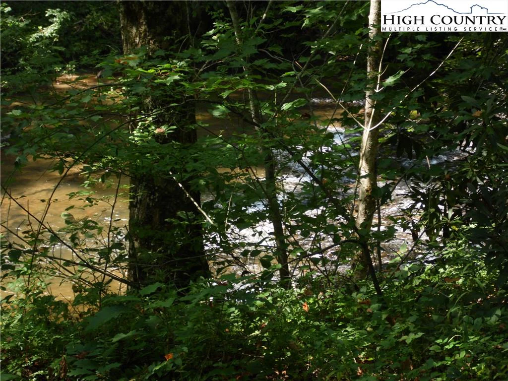 Image number 18 for the current listing