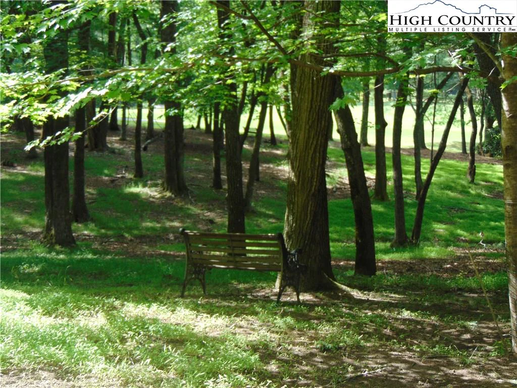 Image number 5 for the current listing