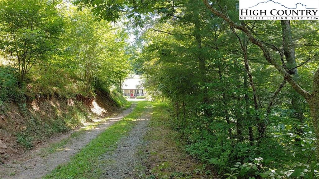 Image number 11 for the current listing