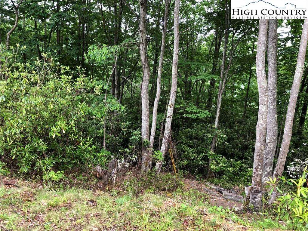 Image number 1 for the current listing