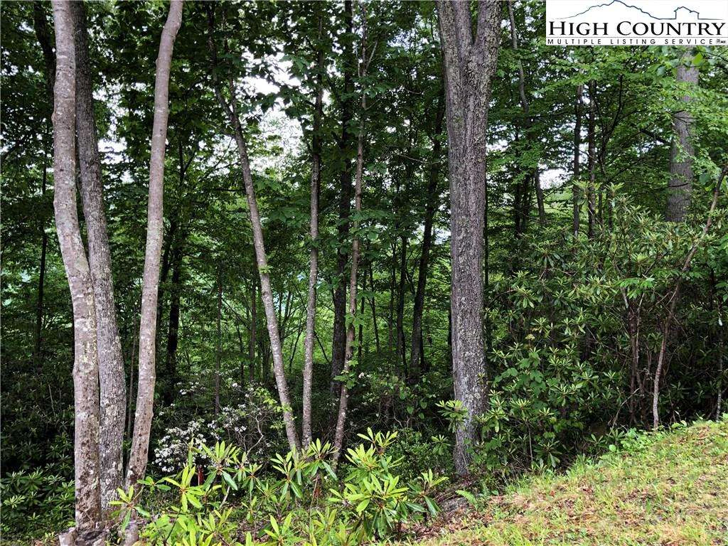 Image number 3 for the current listing