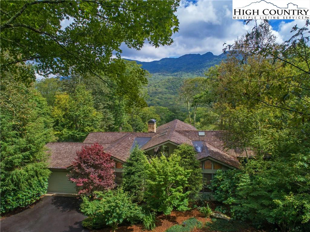 Image number 1 for the current listing