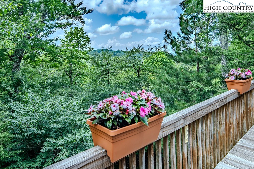 Image number 19 for the current listing